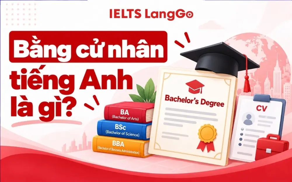 Bằng cử nhân tiếng Anh là Bachelor's Degree, gồm các loại BA, BSc, BBA.